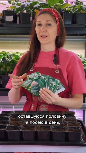 Посев огурцов 🥒 смотреть онлайн