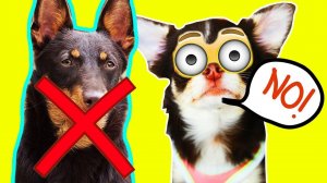 Юми Чу выросла? Семейный разговор без секретов 🎙️✨