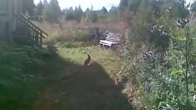 пришел в гости смотреть онлайн