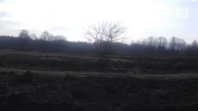 Палы травы смотреть онлайн