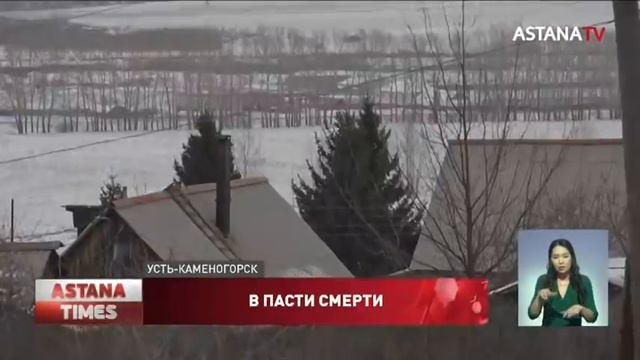 Родители растерзанной девочки считают, что на ребенка напал волк или алабай смотреть онлайн