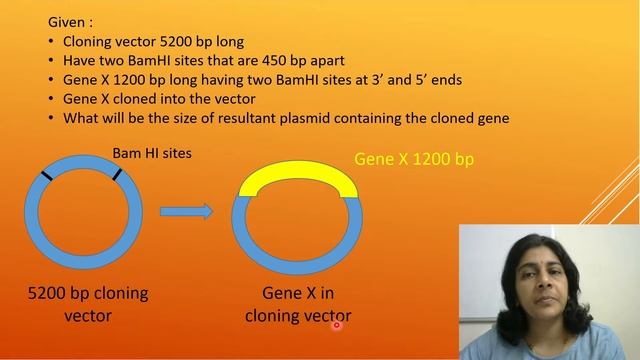 GAT B 2021 | Solved MCQ | Solving Questions with Gauri ma’am смотреть онлайн