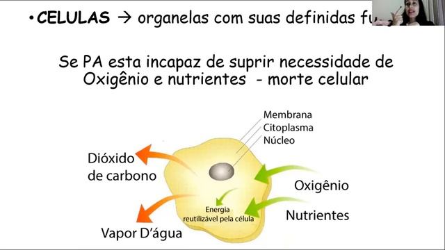 ATF 20 ll 05 Dia 20 05 2021 parte 1 смотреть онлайн