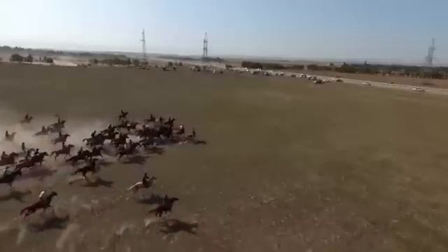 25.09.16 Көкпар Жуалы Кокпар 2016 /Көкпар/Кок-бору vk.com/kokpar_kz смотреть онлайн