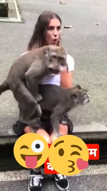 Monkey Speed 🐒 Mating #speed #how #lol #funny #shorts смотреть онлайн