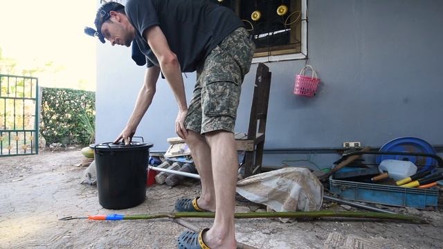 Snake relocation - pit vipers EP 01 смотреть онлайн