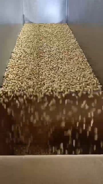 Вибропитатель из нержавейки +7-909-276-88-66, 8-800-500-40-02 Vibromash.com-720p60 смотреть онлайн