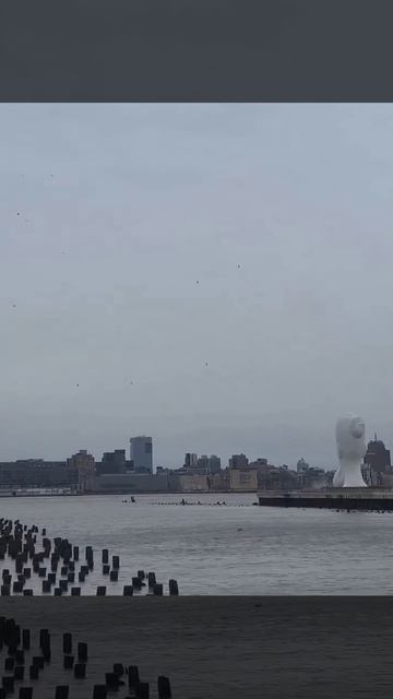 Нью-Йорк, упал вертолет.На борту был генеральный директор "Siemens Spain" А. Эскобар.Все погибли. смотреть онлайн