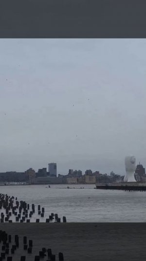 Нью-Йорк, упал вертолет.На борту был генеральный директор "Siemens Spain" А. Эскобар.Все погибли.