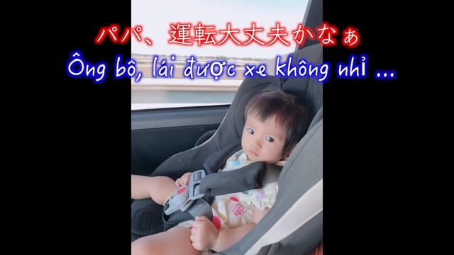 Xe bon bonドライブ смотреть онлайн