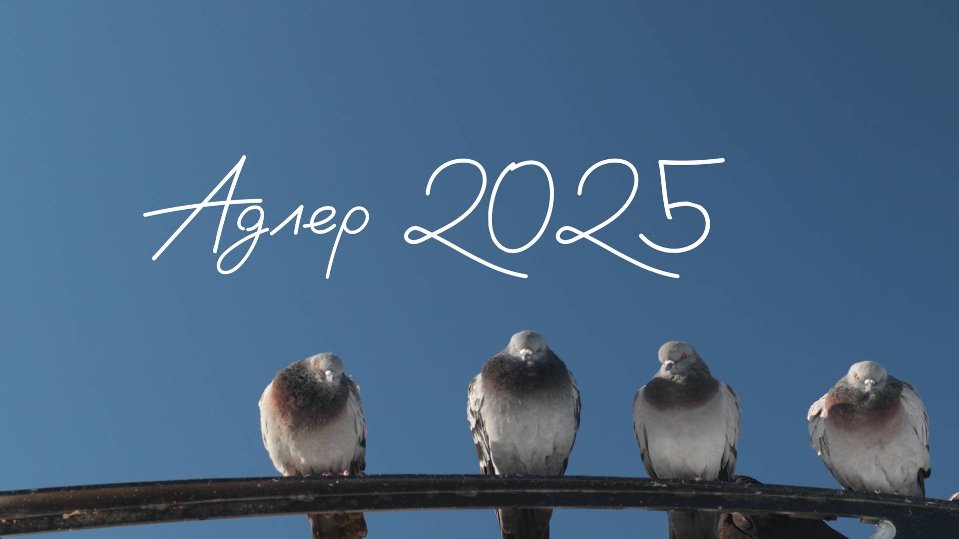 Адлер февраль 2025 смотреть онлайн