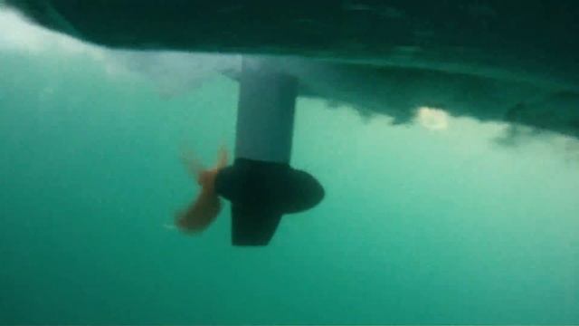 Torqeedo Cruise T смотреть онлайн