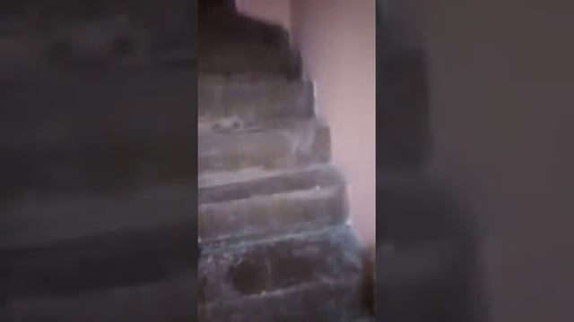 Жилой дом 146 кв.м. 2 этажа Ростовская обл., Койсуг смотреть онлайн