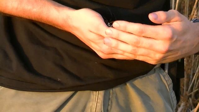 Me Handling BIG Argiope Spider смотреть онлайн