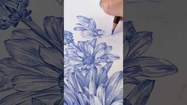 Draw with me ~ Botanica Blue смотреть онлайн