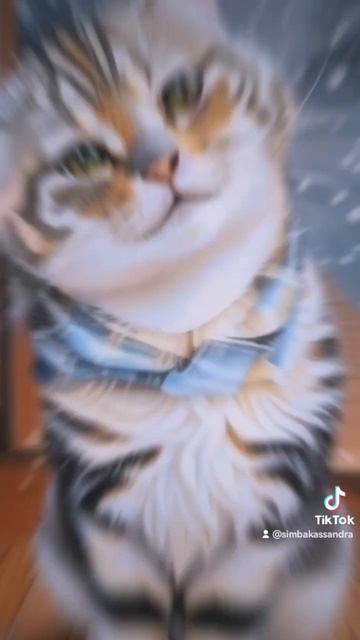 #short #британский кот#bkh #шутка#рисовать смотреть онлайн