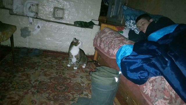 Кот ест мышь, Димитрий спит смотреть онлайн