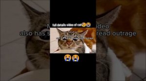 cat in blender full video #cat cat blending video real video