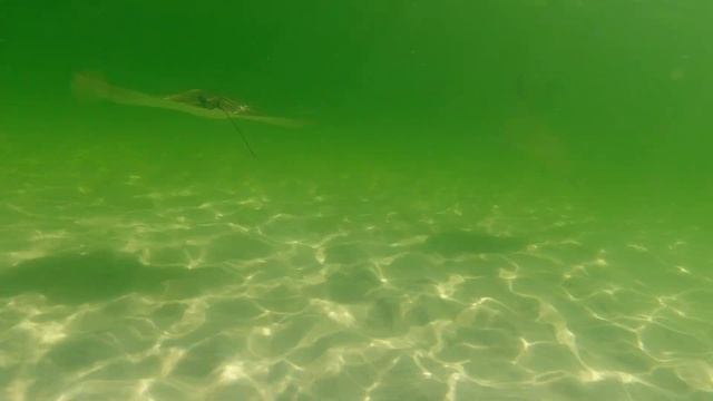 Отдых на Флориде. Okaloosa Island, Florida 2021. смотреть онлайн