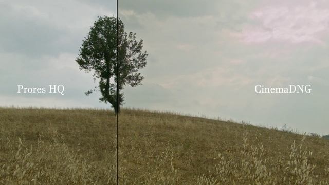 Bmpcc original | Prores hq vs Cinema DNG Raw | 16mm film emulation смотреть онлайн