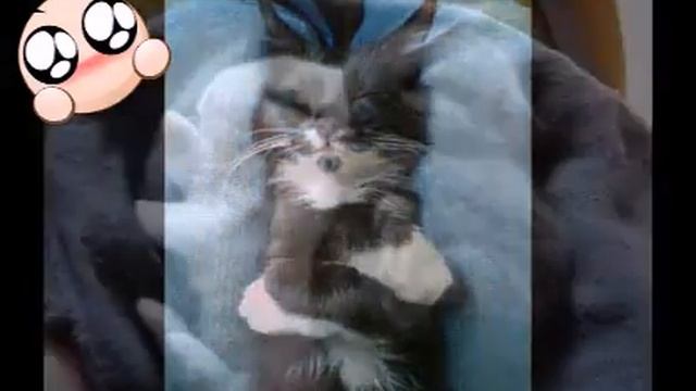 Милости смотреть онлайн