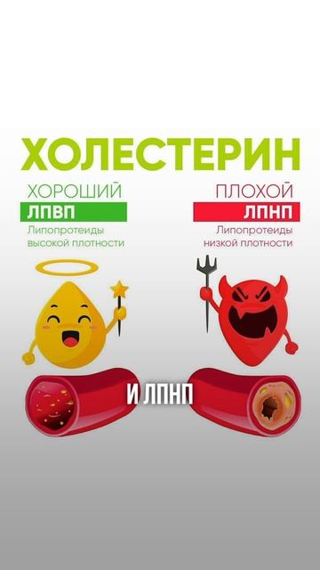 Общий холестерин, НО... #холестерин #питание #николайпанасюк смотреть онлайн