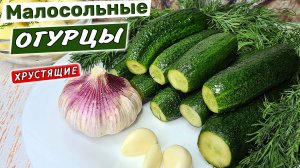 Малосольные ОГУРЦЫ с чесноком – супер ХРУСТЯЩИЕ! Простой рецепт малосольных огурцов