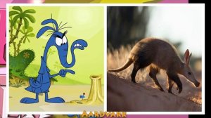 Pink Panther and Pals Characters in Real Life SMS TV