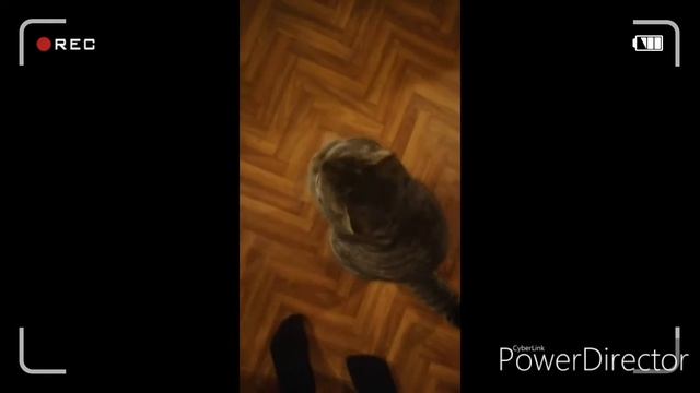 Танцую шаффл под песню Danse Monkey / День 2 смотреть онлайн