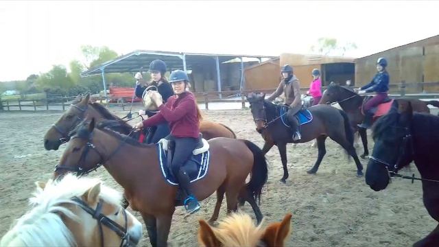 cours de horse ball (première vidéo avec cambox isi3) смотреть онлайн