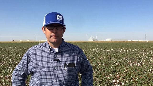 9-29-2022 Cotton and Corn Rotation