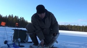 РЫБАЛКА НА ТАЕЖНОМ ОЗЕРЕ / Ловля окуня / Щуки на жерлицы.