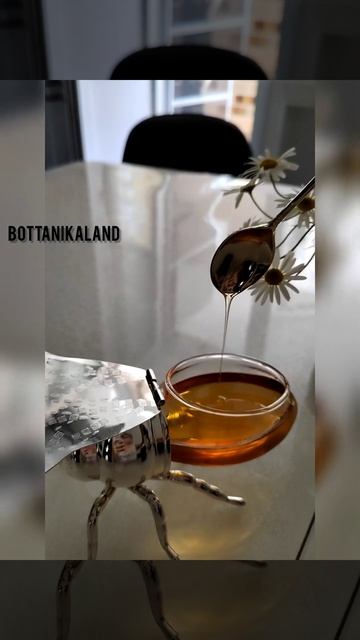 Банка для мёда Пчела Bottanikaland смотреть онлайн