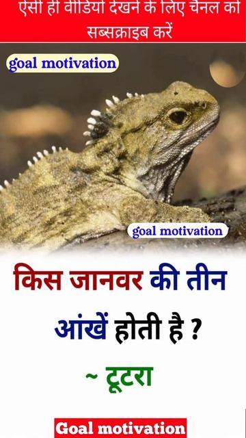 #upsc#sscgd#sscgl#mpsc#sscchs#motivation#bank#ips#pcs#ias#ifs#bpsc#short#motivation#goal#khansir(5) смотреть онлайн