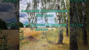 О, Родина! В неярком блеске - Жигулин А. В.