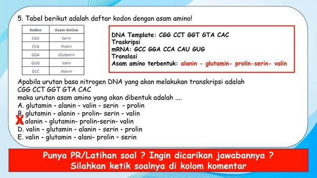 Latihan Soal Biologi Kelas 11 Bab 2 Bioproses #biologi #kelas11 #bioproses смотреть онлайн