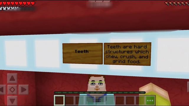 Minecraft PE: The Human Body Gameplay смотреть онлайн