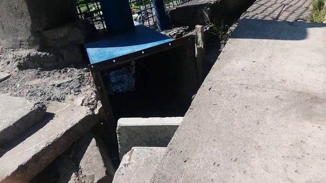 Островок Черепашек часть первая:) смотреть онлайн