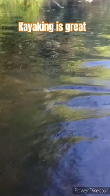 I'm Okay But The Camera Man Was Never Seen Again #pnw #fishing #kayaking #watersafety #dontbedumb