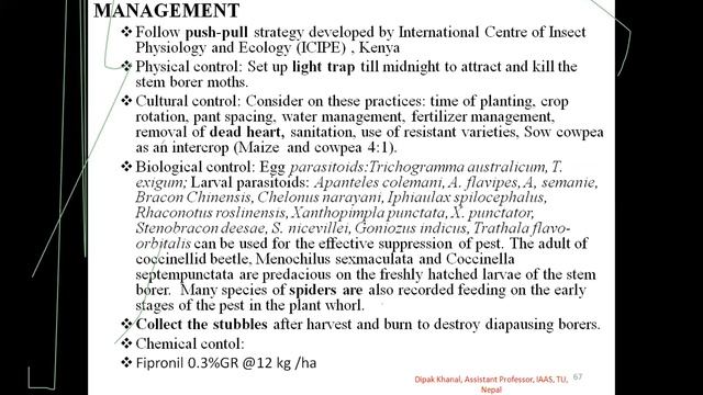 INSECT PEST OF CEREALS-RICE,WHEAT and MAIZE-TRAINING-DAY 1 смотреть онлайн