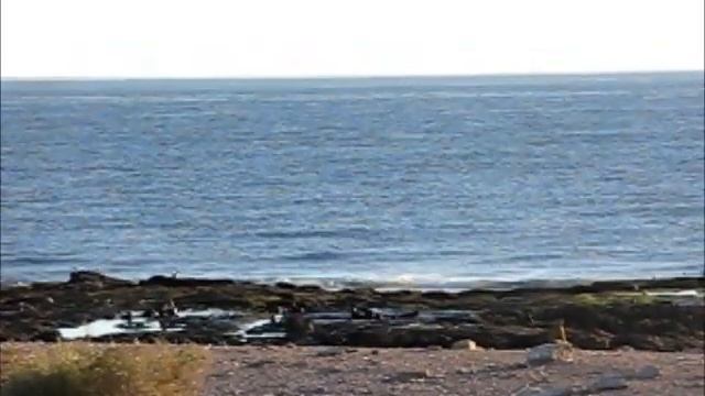 Islote Lobos смотреть онлайн