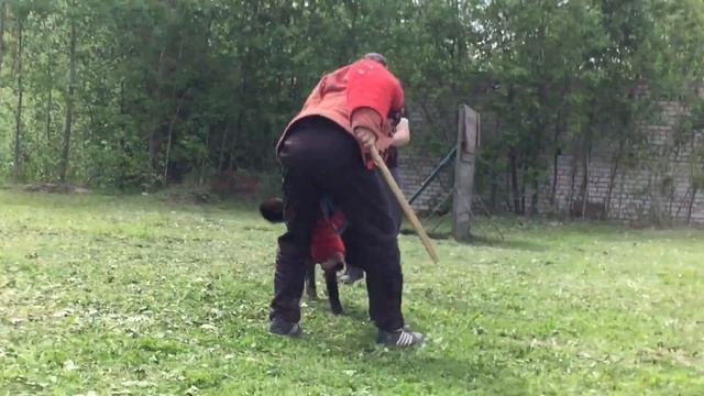БХ ШАКИРА 11 месяцев первая встреча с костюмом смотреть онлайн