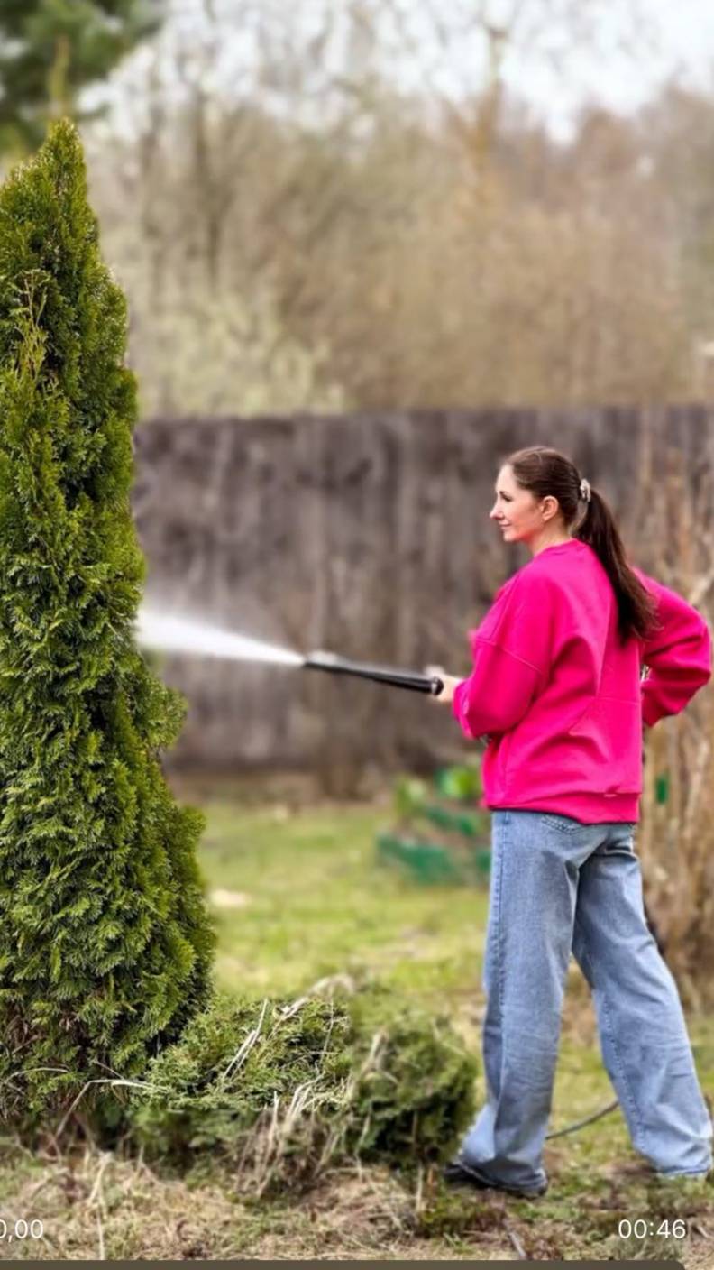 Как правильно чистить хвойные весной смотреть онлайн