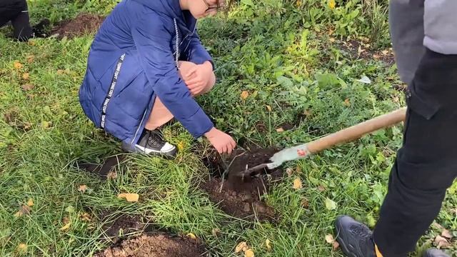 Всероссийская Акция «Кедры России»🍀✨Алтайский край с. Енисейское смотреть онлайн