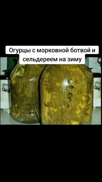 Огурцы с морковной ботвой и сельдереем на зиму смотреть онлайн