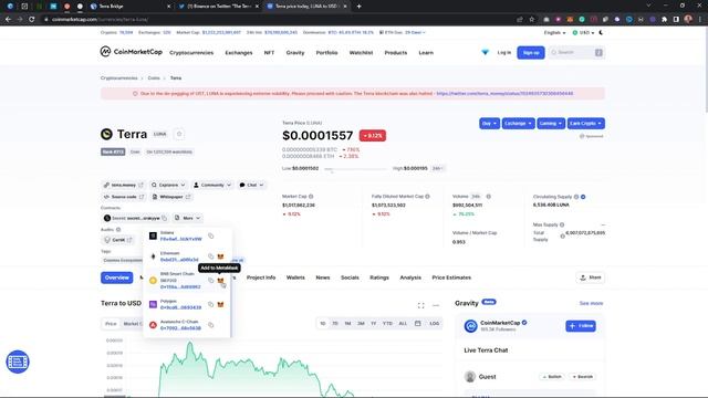 How To Add Terra Luna Network To MetaMask Wallet смотреть онлайн