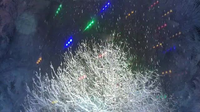 20 декабря 2020 г. смотреть онлайн