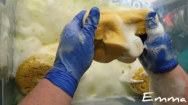 🍋Lemon🍋 Tub to celebrate 500 subscribers!! смотреть онлайн