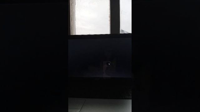 стрим на игру cult of the lamb не 18+ смотреть онлайн