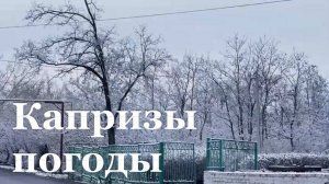 Погода в Республике